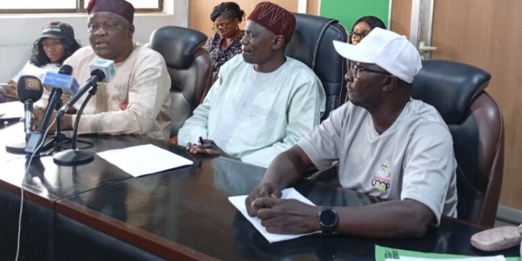 Nigeria’s Cashew Industry Receives Boost as Group Sets to Hold Maiden Cooperative Summit