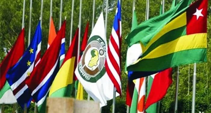 Uncertainty, Instability Hinder Job Creation in West Africa, ECOWAS MPs Warn