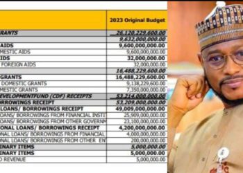 Zamfara Governor Faces Backlash Over Loan Denial Claims