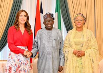 Tinubu Seeks Expanded Cooperation with Denmark on Livestock, Education