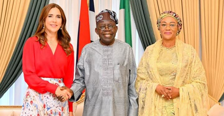 Tinubu Seeks Expanded Cooperation with Denmark on Livestock, Education