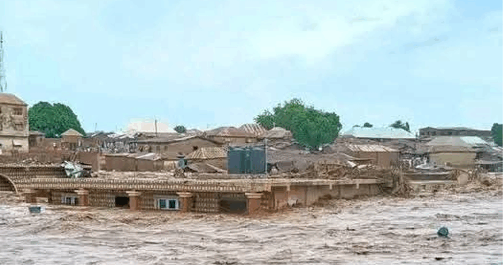 700 People Still Missing after Mokwa Flood – Niger Govt