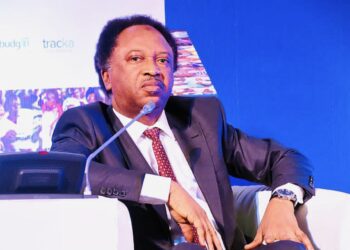 North owes Tinubu Second Term – Sani