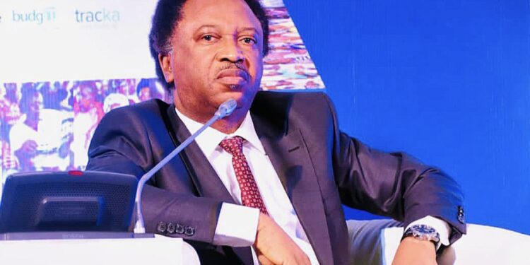 North owes Tinubu Second Term – Sani