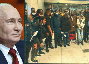Putin Offers Hundreds of Nigerian Students Fresh Scholarships to Study in Russia