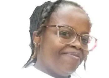 Outrage in Kenya Over Arrest of Software Developer Rose Njeri