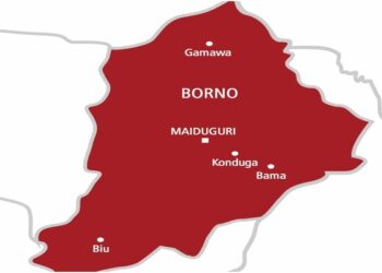 9 Feared Killed in Borno Bomb Attack