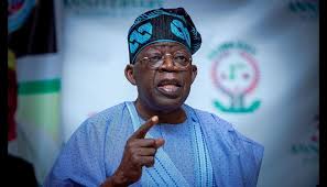 Tinubu Orders Full Crackdown on Benue Killings