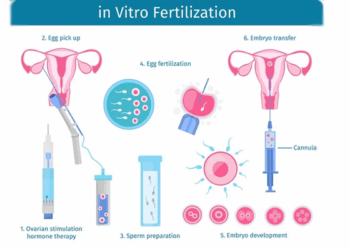 21,000 Babies Born in 2023 Through IVF in UK