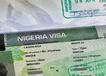 FG Grants Five-Month Amnesty for Foreigners with Expired Visas to Regularise Status