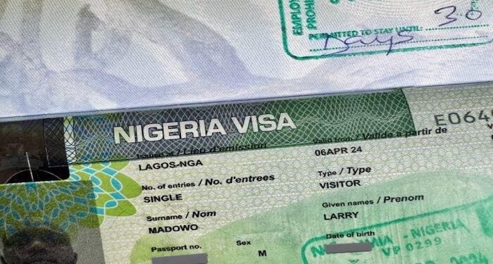 FG Grants Five-Month Amnesty for Foreigners with Expired Visas to Regularise Status