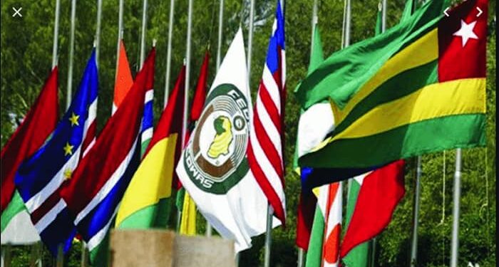 ECOWAS Urged to Strengthen EdTech Commitment Across Member States