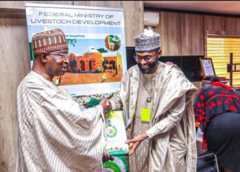 Tinubu’s Agenda: NAIC Boss Backs Livestock Development