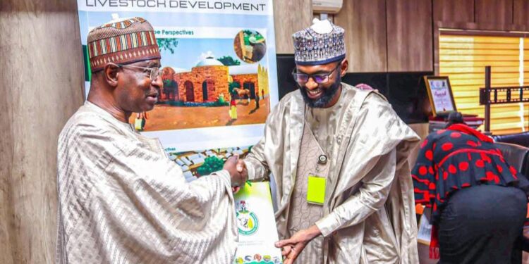 Tinubu’s Agenda: NAIC Boss Backs Livestock Development