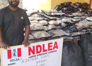 NDLEA Arrests Drug Kingpin ‘Warri kinsman’ Over Drug Shipment