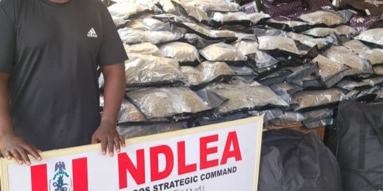 NDLEA Arrests Drug Kingpin ‘Warri kinsman’ Over Drug Shipment