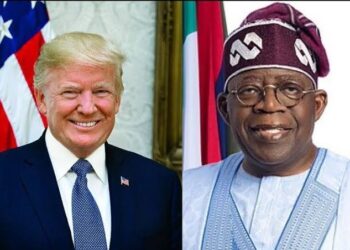 Tinubu Did Not Cancel 5-Year Visas for Americans, Says Presidency 