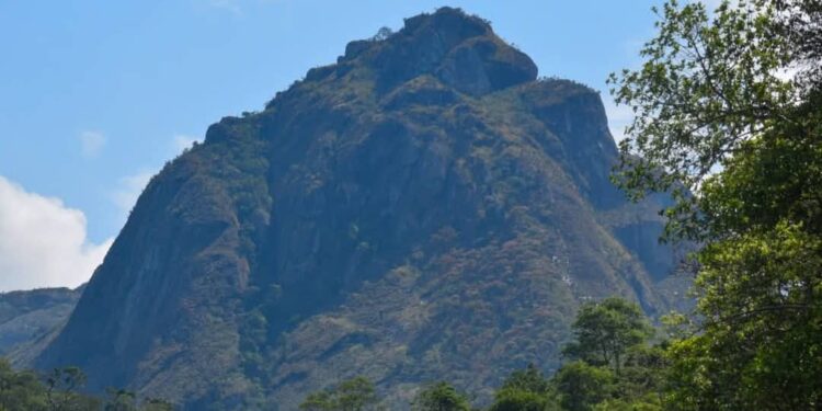 UNESCO Names Mountains In Cameroon, Malawi As World Heritage Sites