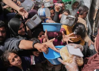 Gaza Death Toll Rises Amid Chaos at Aid Distribution Sites