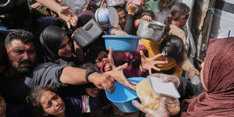 Gaza Death Toll Rises Amid Chaos at Aid Distribution Sites