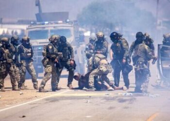 Cannabis Farm Raids Result in Death, Injuries, and Mass Arrests