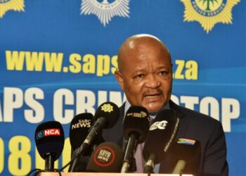 Ramaphosa Suspends Police Minister Over Alleged Criminal Ties