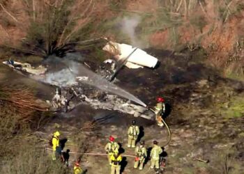 Four Dead After Small Plane Crashes at London Southend Airport