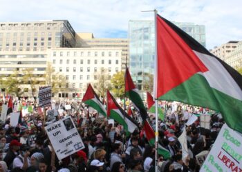 Calls for Ceasefire Grow in Israel as Gaza Crisis Deepens