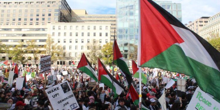 Calls for Ceasefire Grow in Israel as Gaza Crisis Deepens