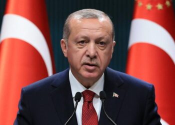 Turkey Warns of FETO Presence in Nigeria, Cites Ongoing Global Threat