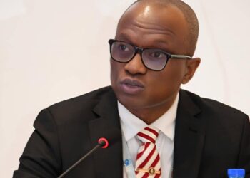 Nigeria Dismisses Claims of New Terror Group Amid Turkish Concerns