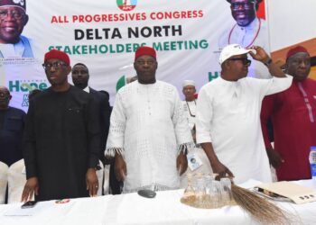 Delta North APC Endorses Tinubu, Oborevwori For Second Term