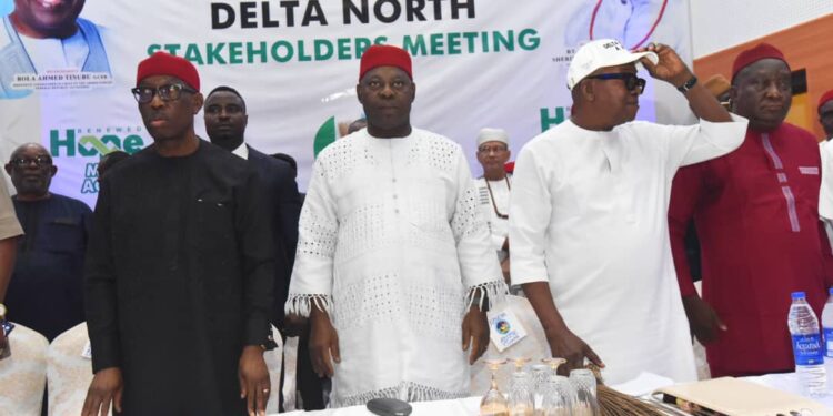 Delta North APC Endorses Tinubu, Oborevwori For Second Term