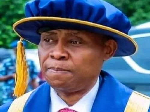 Deji Adeleke’s 1250MW Power Plant Set For Commissioning Of One Of Nigeria’s Largest Energy Projects