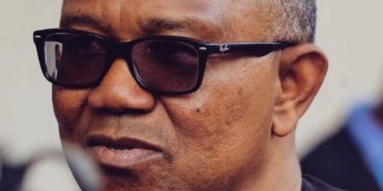 Peter Obi Free To Run On ADC Ticket In 2027 Despite LP Ties – Party Clears Air