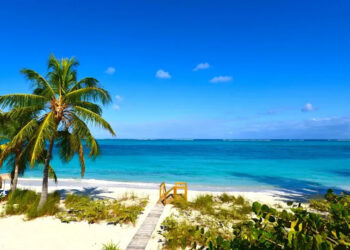 Mass Shooting at Popular Nightspot Shocks Turks and Caicos