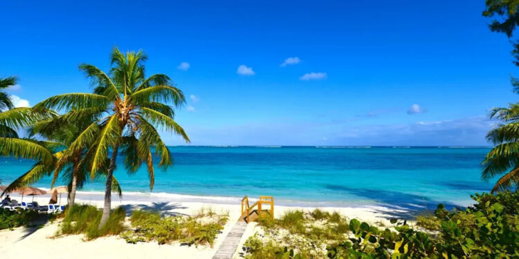 Mass Shooting at Popular Nightspot Shocks Turks and Caicos