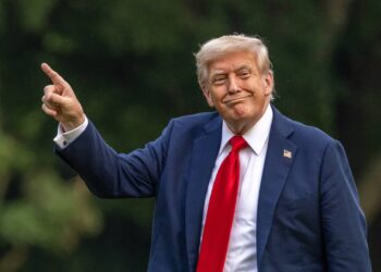 Trump Tariffs Deliver Record Revenue to US Treasury