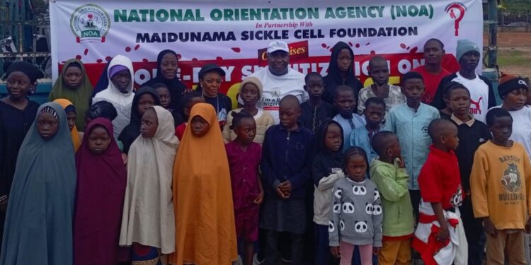 Sickle Cell Awareness: NOA, Maidunama Task Youths On Genotype Testing