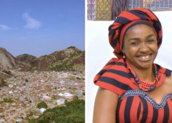 U.S., UAE Visa Restrictions Wake-up Call For Regional, Domestic Travel Shift – Stakeholders