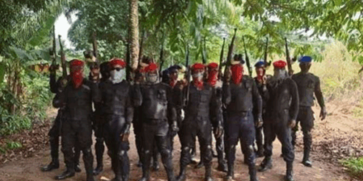 IPOB Member Nabbed As JSF Kills Unknown Gunmen In Anambra