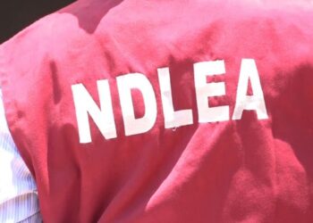 NDLEA Arrests 37, Recovers 345.421kg Of Drugs In Edo