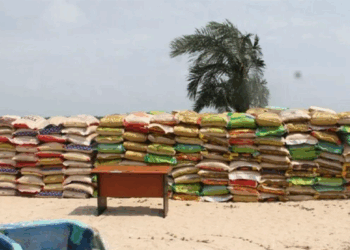 Nigerian Navy Hands Over 423 Bags Of Rice, 11 Child Trafficking Victims To Customs, NAPTIP