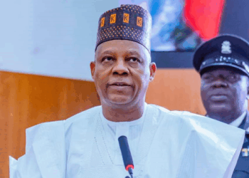 GDP Rebasing: Shettima Raises Concerns Over Information Gap Between NBS, States