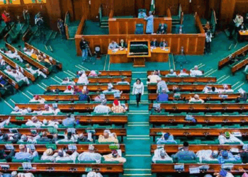 Reps Propose Bill Banning Public Servants, Families From Private Hospitals, Schools