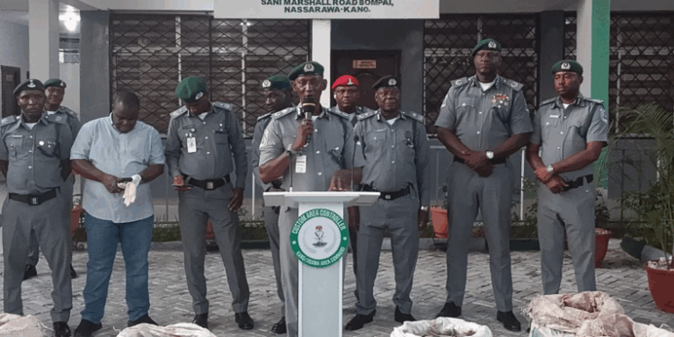 420kg Of Pangolin Scales Seized In Kano – Customs