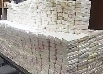 Cocaine Worth Over $1 Million Seized at Texas Border Crossing