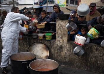 Dozens Killed in Gaza as Israeli Forces Fire Near Aid Convoy