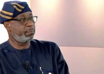 Mining Marshals Being Blackmailed Over Clampdown On lllegal Activities – Alake