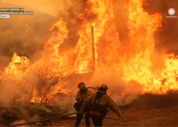 Canyon Fire Forces Evacuations as Blaze Grows Near Los Angeles